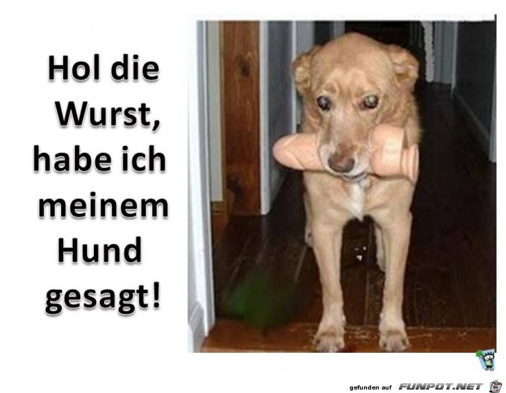 Hol die Wurst Hol die Wurst