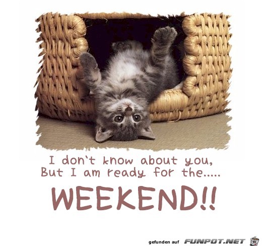 friday feeling friday feeling
