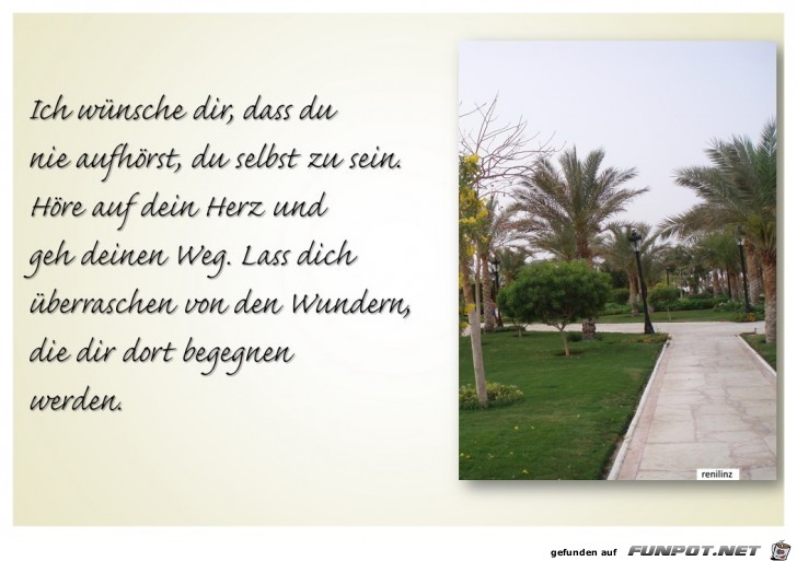 ich wuensche dir dass du nie aufhoerst du selbst zu sein ich wuensche dir dass du nie aufhoerst du selbst zu sein
