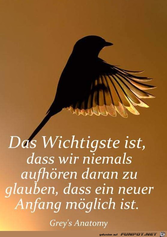 das Wichtigste das Wichtigste