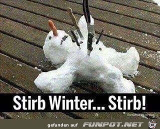 Stirb Winter