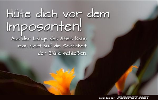 huete dich huete dich