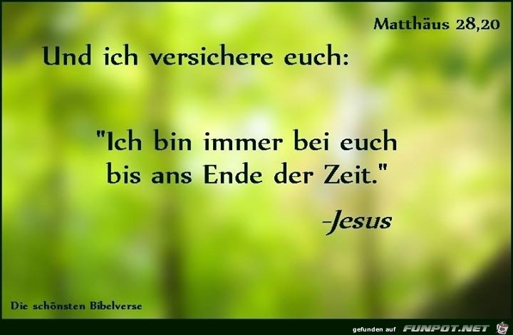ich versichere euch ich versichere euch