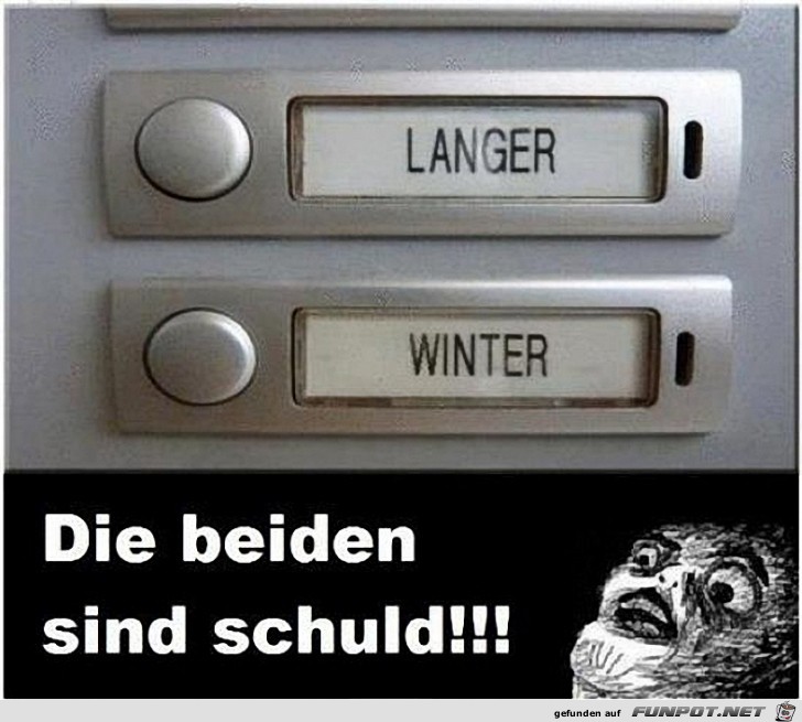 Schuld Schuld