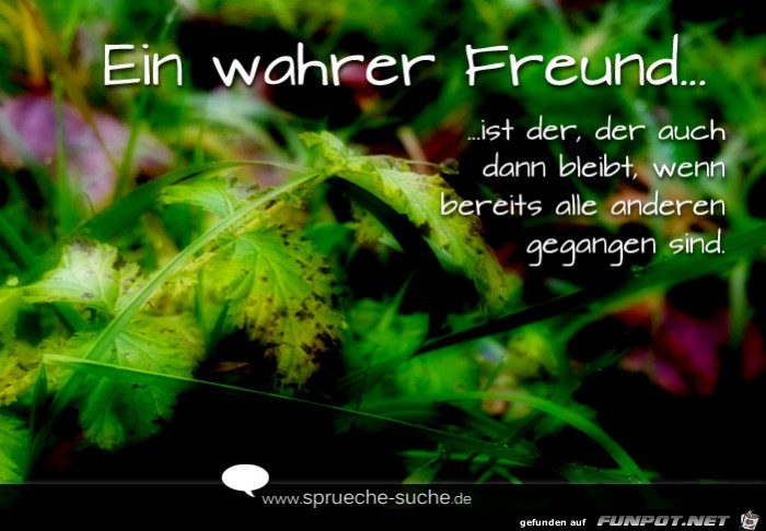 ein wahrer freund 