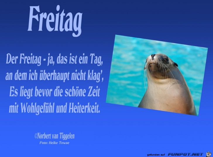 05freitaghtowae 05freitaghtowae