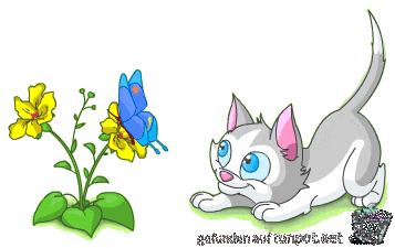 KITTY2114 KITTY2114
