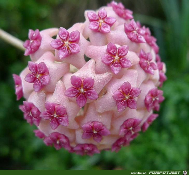 Geometrische Formen der Natur!