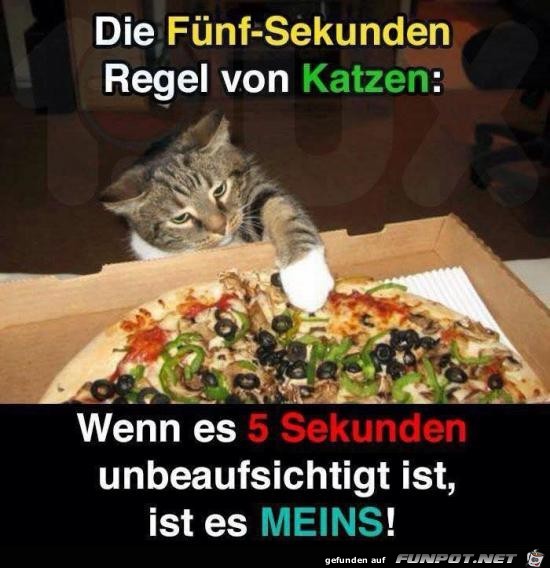 die 5 sekunden-Regel die 5 sekunden-Regel