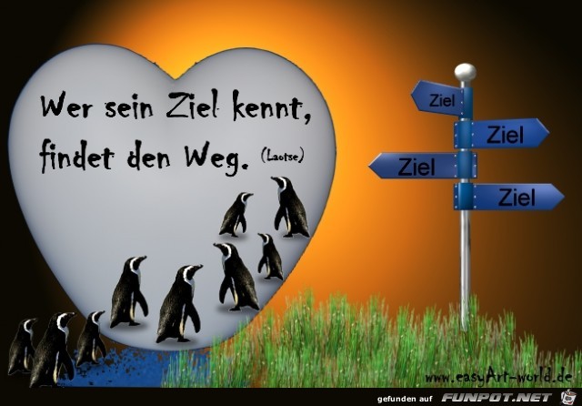 Ziel Ziel