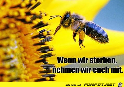 Wenn wir Sterben Wenn wir Sterben