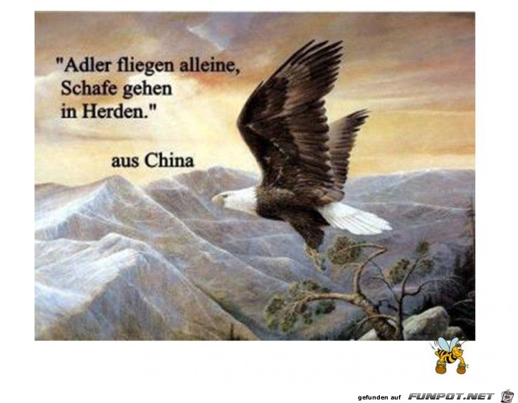 Der Koenig der Luefte Der Koenig der Luefte