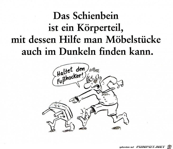 172 Schienbein 172 Schienbein