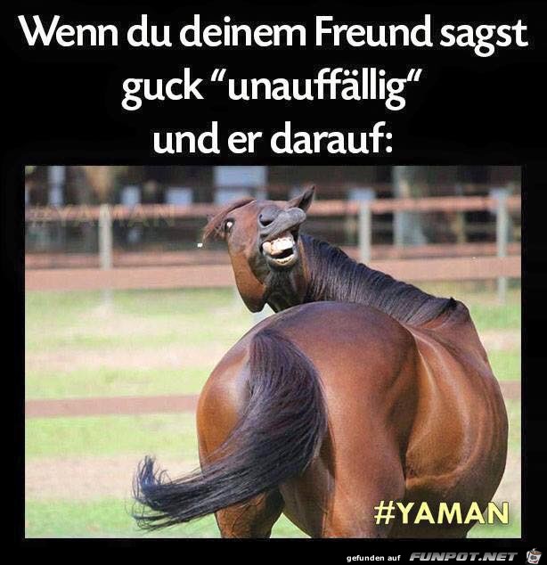 Guck unauffällig Guck unauffällig