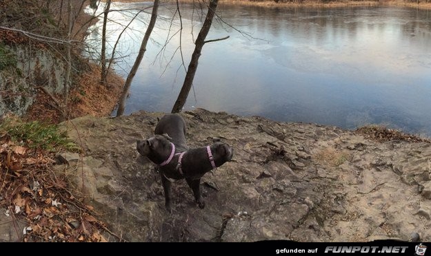 23-panorama-fails-10 23-panorama-fails-10
