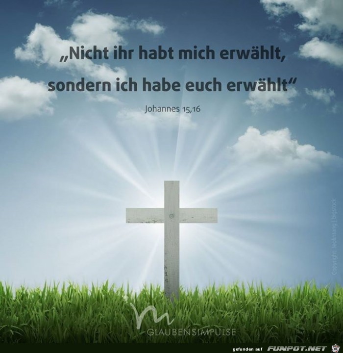 johannes 15 16 johannes 15 16