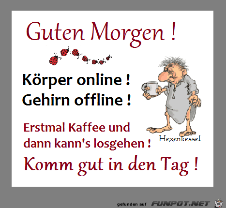 Koerper online