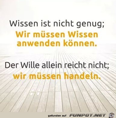 Wille Wille