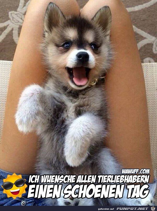 Ich wuensche Ich wuensche