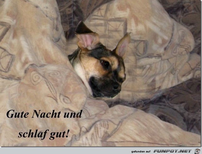 Gute Nacht Ihr Lieben