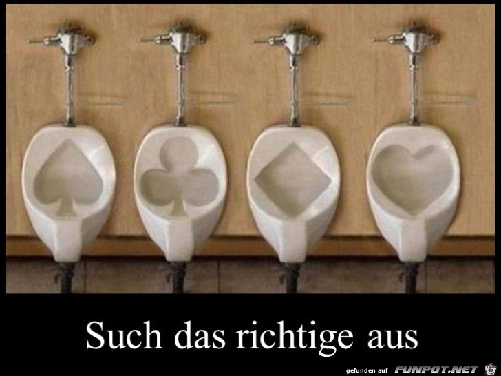 such das richtige aus such das richtige aus