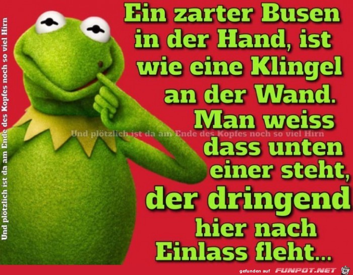 Klingel an der Wand Klingel an der Wand