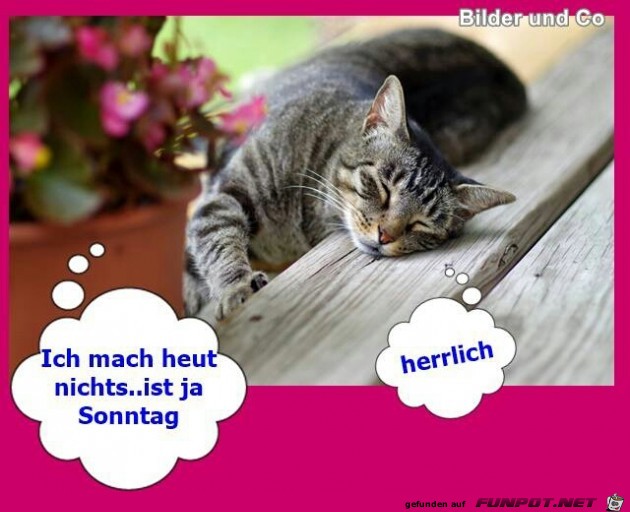 Sonntag Sonntag