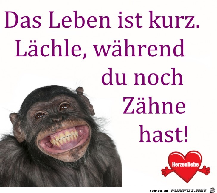 Laechle Laechle