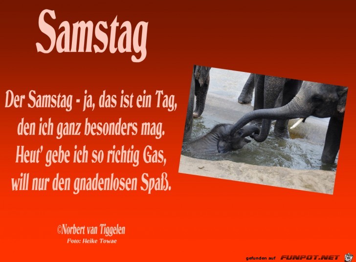 06samstaghtowae 06samstaghtowae