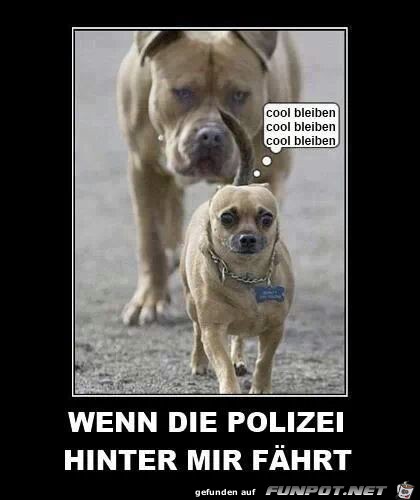 cool bleiben cool bleiben