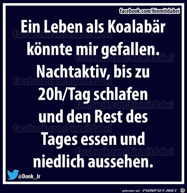 Ein Leben Ein Leben