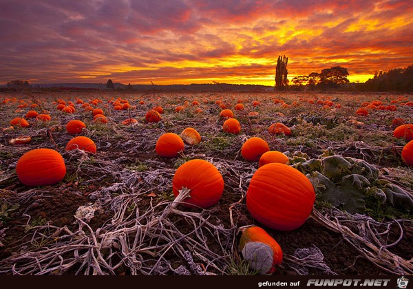 Wunderschne Herbst-Impressionen!