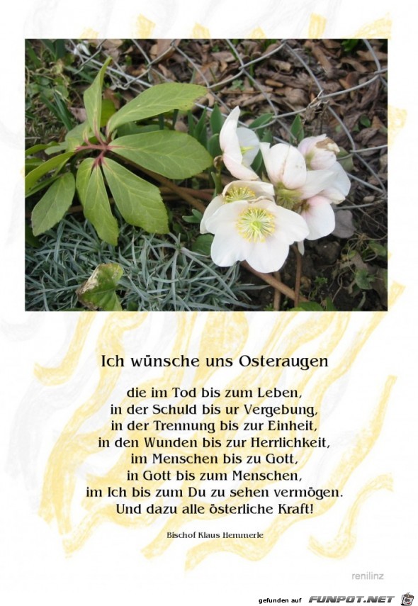 Osteraugen Osteraugen