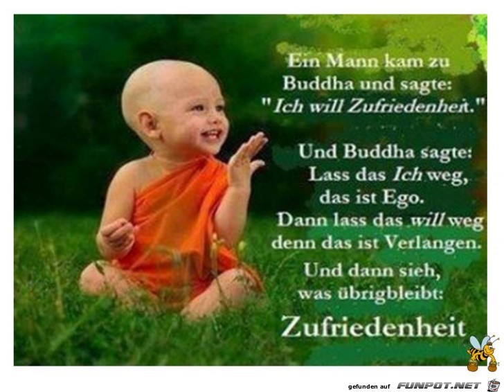 Buddha Buddha