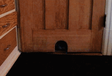 witzige Bilder aus verschiedenen Blogs