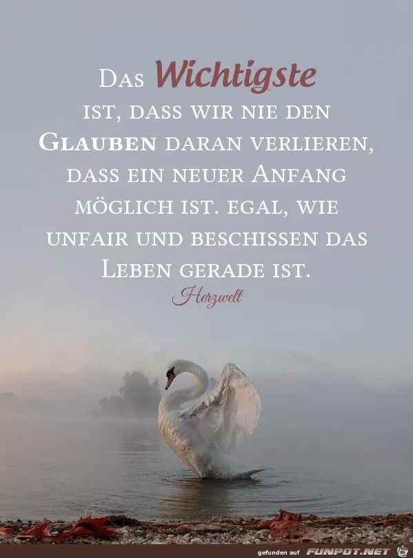 das wichtigste das wichtigste