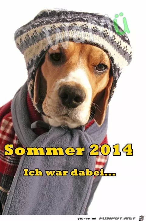 Sommer 2014 Sommer 2014