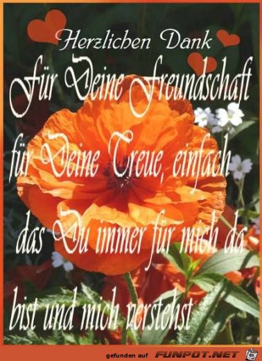 Danke-fuer-deine-Freundschaft27-20 Danke-fuer-deine-Freundschaft27-20