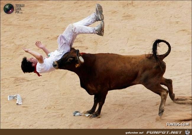 Bulls Brutal Revenge Funzug org 22 Bulls Brutal Revenge Funzug org 22