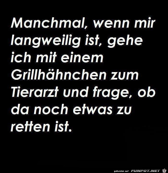 Tierarzt Tierarzt