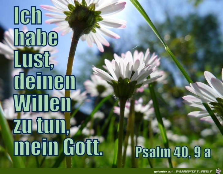 Psalm 40 .9a