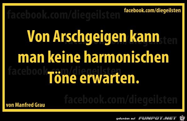diegeilsten Arschgeigen diegeilsten Arschgeigen
