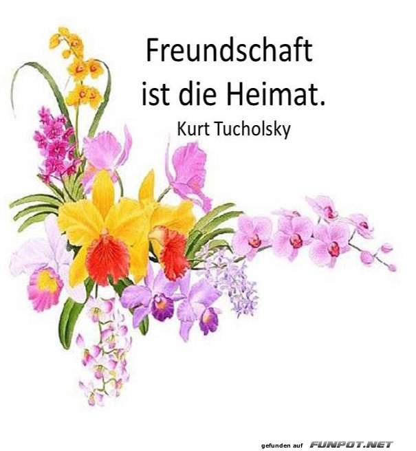 Freundschaft 1 Freundschaft 1