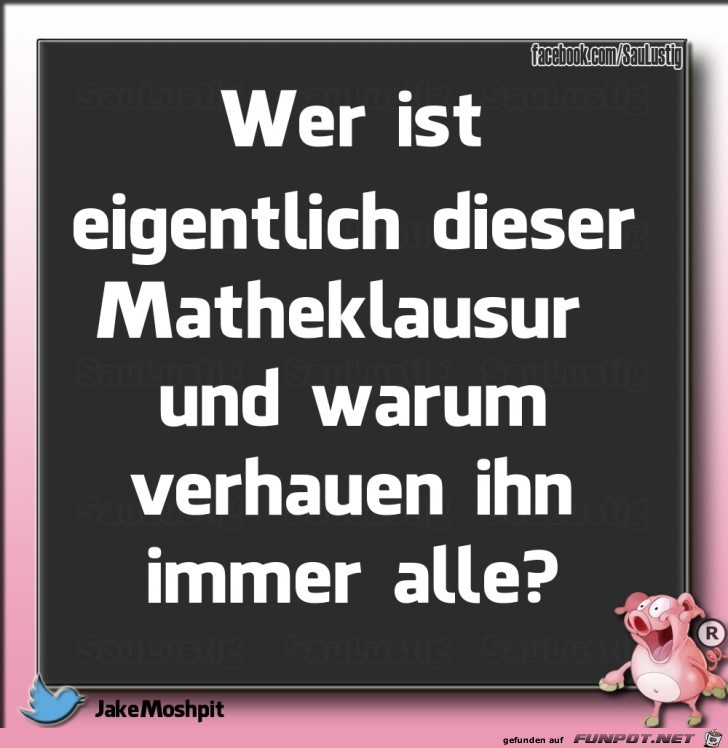 Wer ist eigentlich dieser Matheklausur