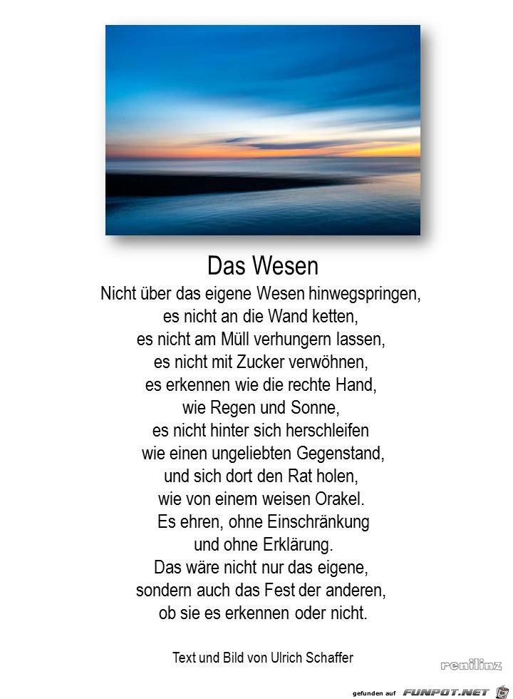 das wesen - schaffer