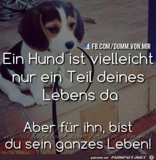 ganzes Leben ganzes Leben