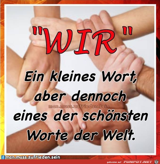 Wir