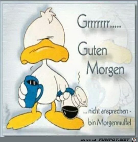 guten morgen