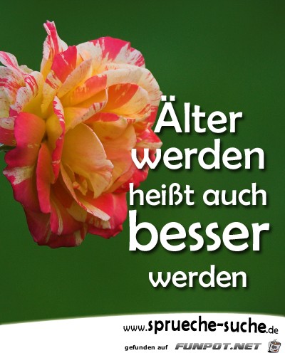 aelter-werden-heisst-auch-besser-wer