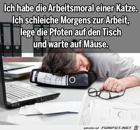 moral moral